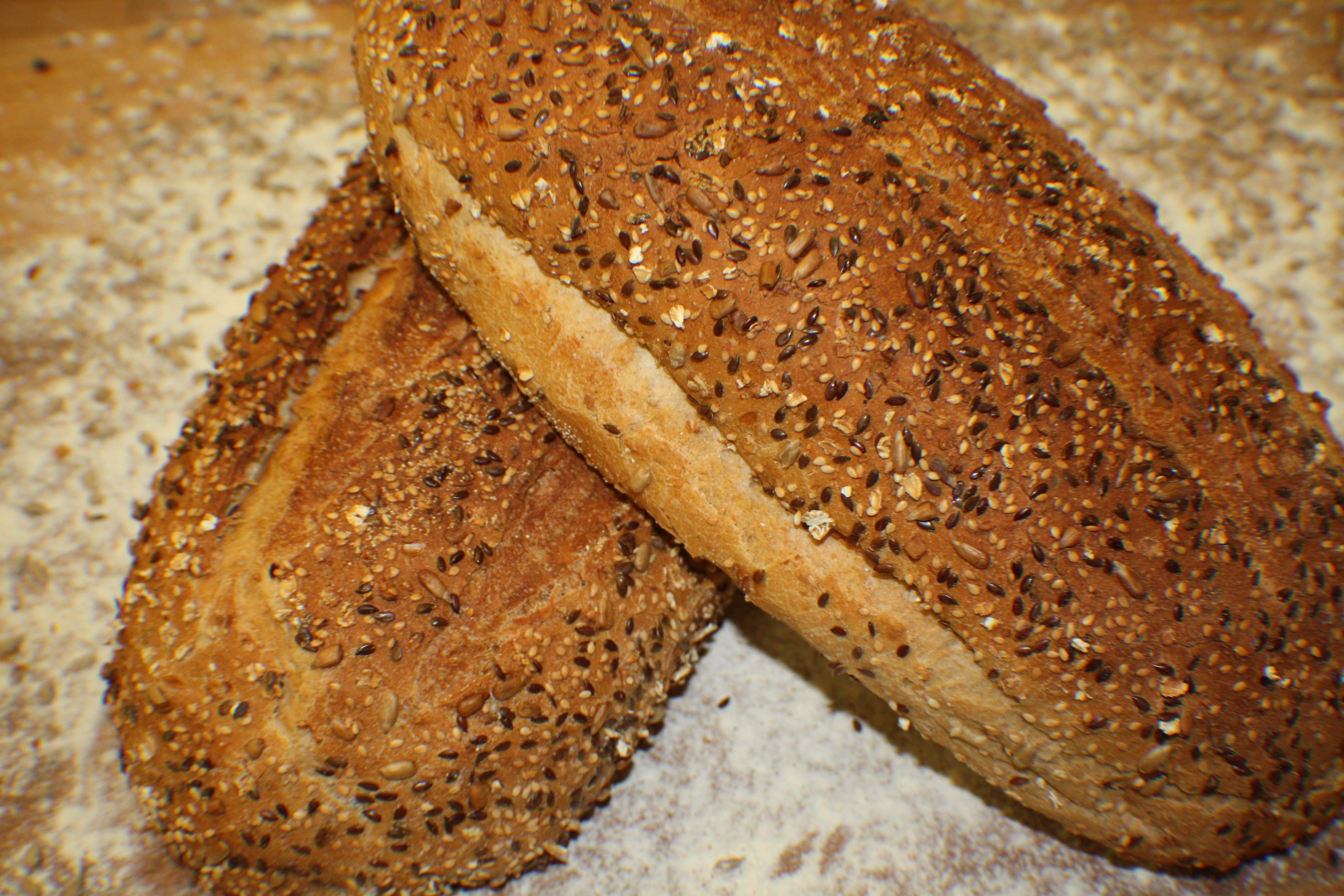 appenzellerbrød.jpg
